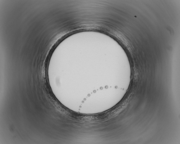X0000111650883200908141249