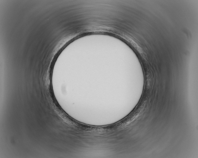 X0000111650885200908141249