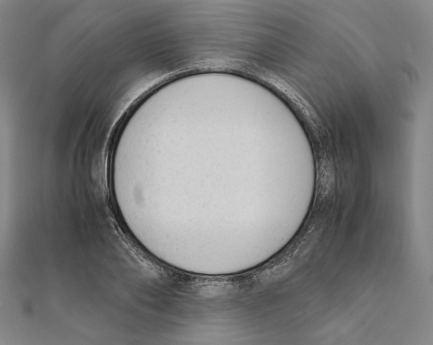 X0000111650886200908141249