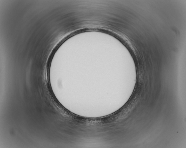 X0000111650887200908141249