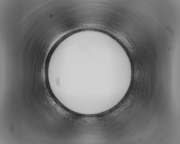 X0000111650888200908141249