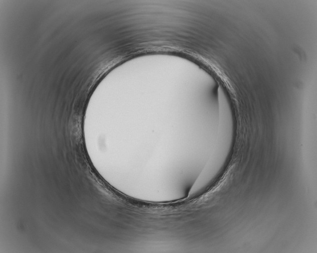 X0000111650889200908141249