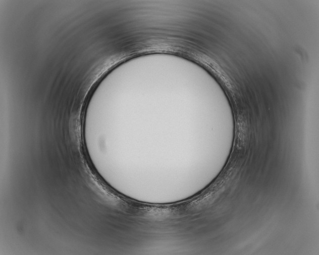 X0000111650890200908141249