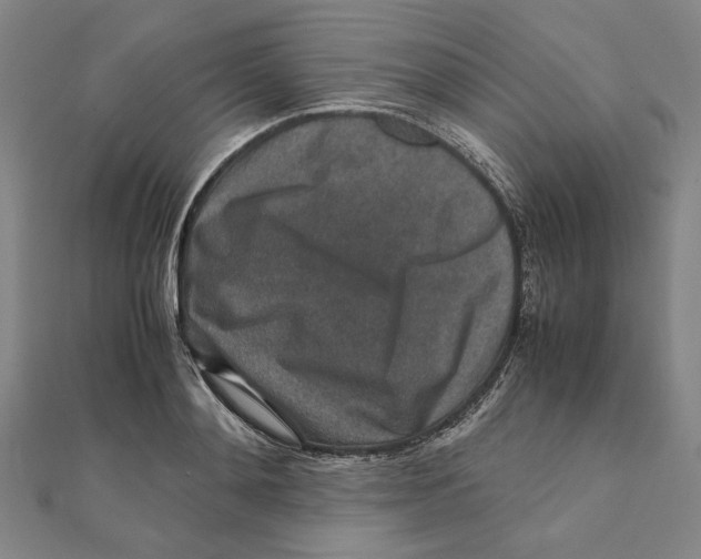 X0000111650892200908141249
