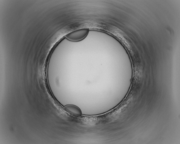 X0000111650893200908141249
