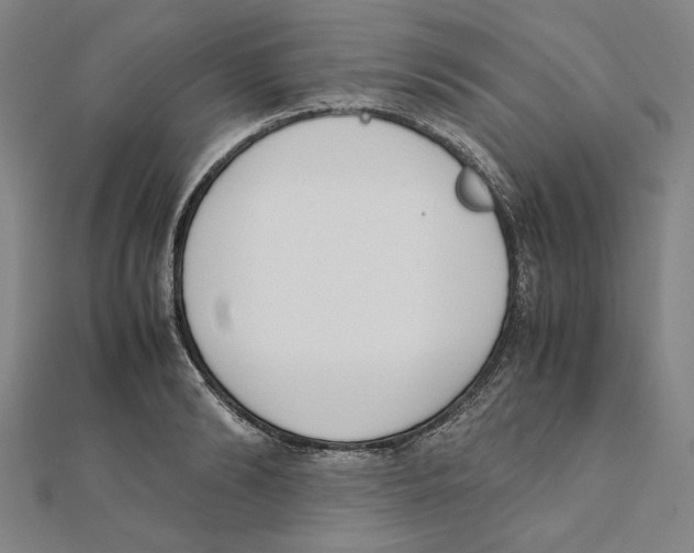 X0000111650894200908141249