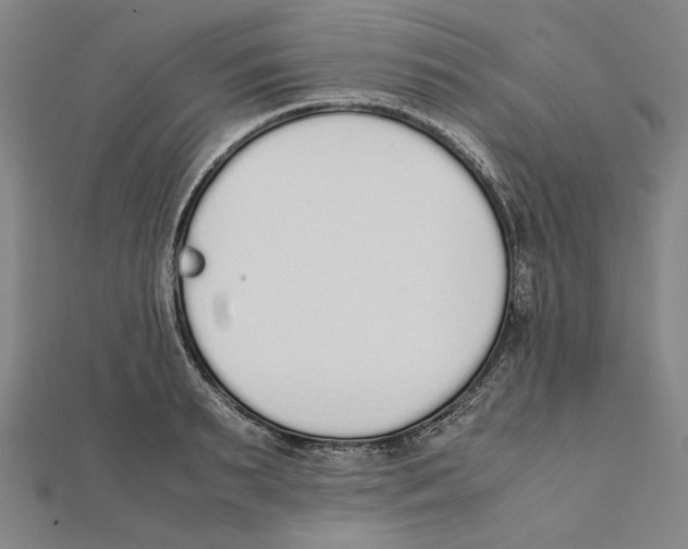 X0000111650895200908141249