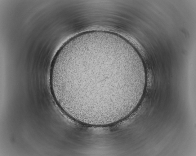 X0000111650896200908141249