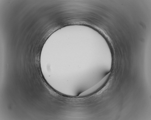 X0000111650897200908141249