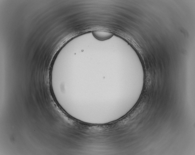 X0000111650898200908141249