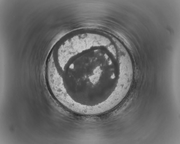 X0000111650899200908141249