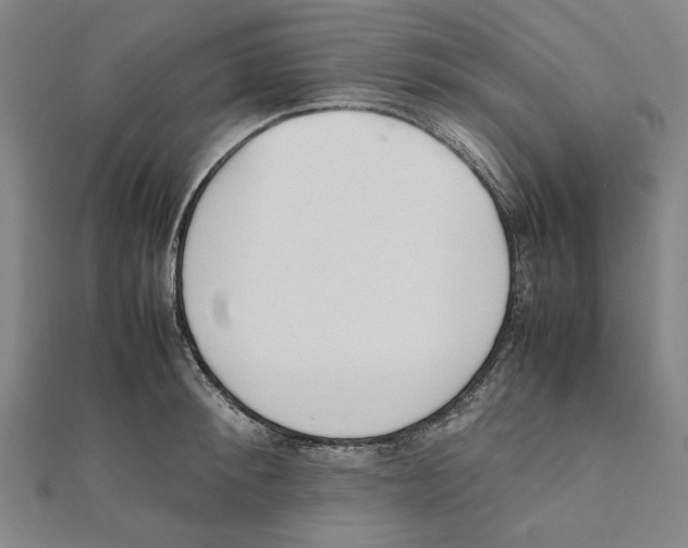X0000111650900200908141249