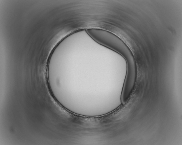 X0000111650901200908141249