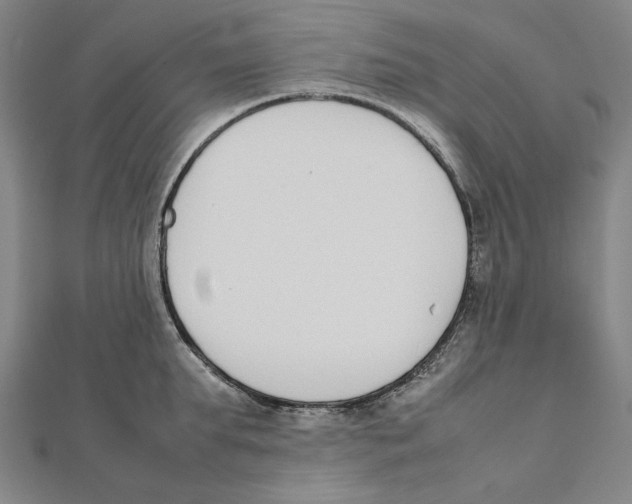 X0000111650903200908141249