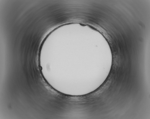 X0000111650904200908141249