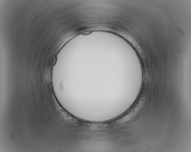 X0000111650905200908141249
