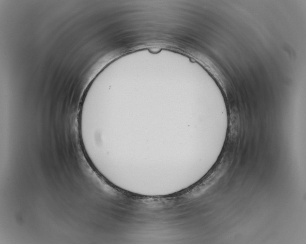 X0000111650906200908141249