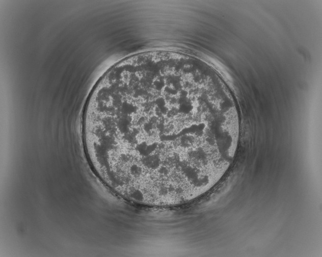 X0000111650907200908141249