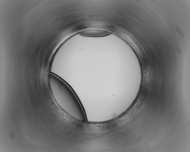 X0000111650908200908141249