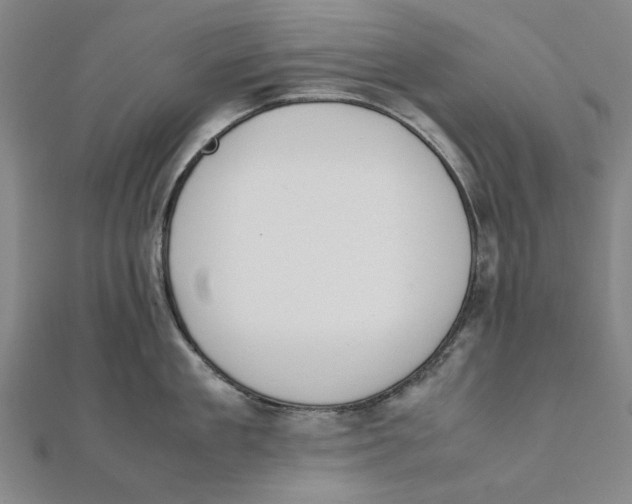 X0000111650909200908141249