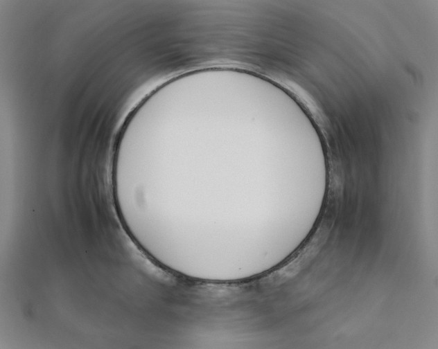 X0000111650910200908141249