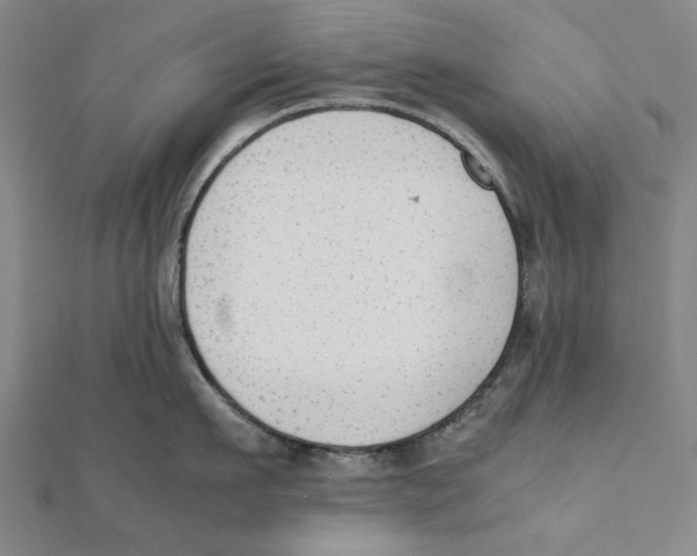 X0000111650911200908141249