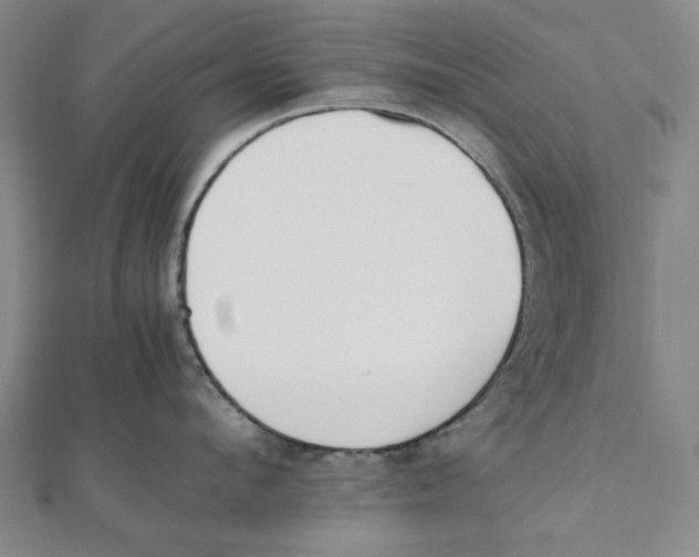 X0000111650912200908141249