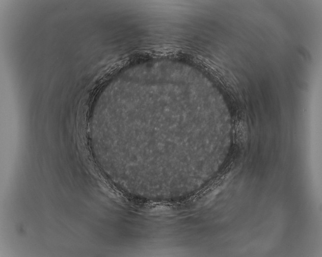 X0000111650913200908141248