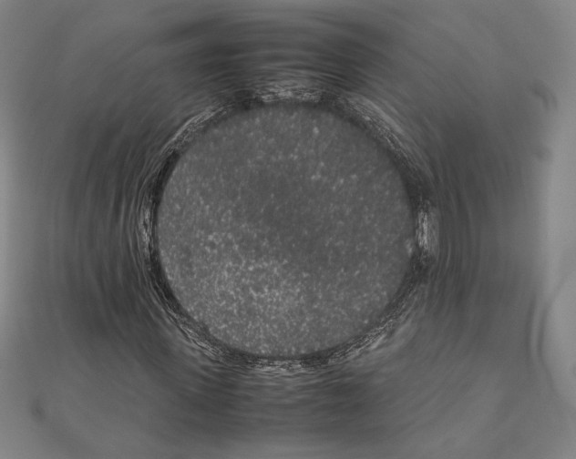 X0000111650915200908141248