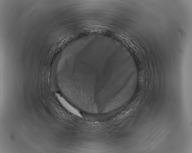 X0000111650916200908141248