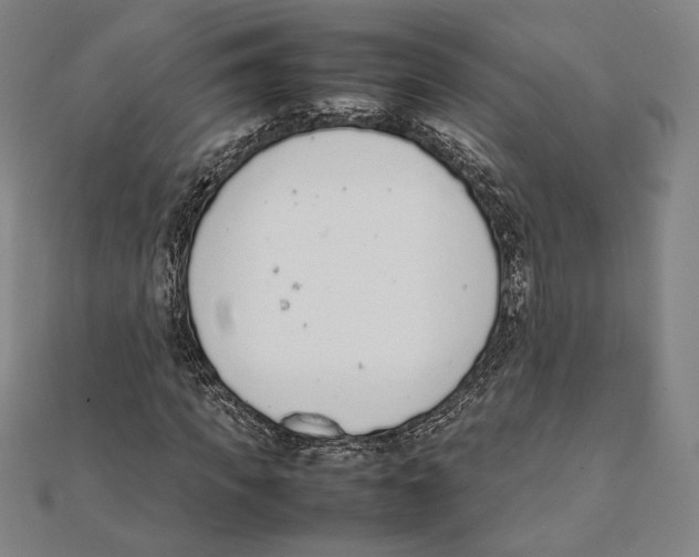 X0000111650917200908141248