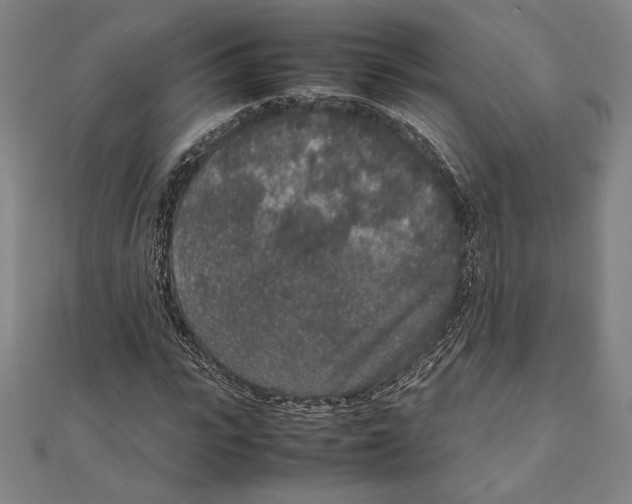 X0000111650919200908141248