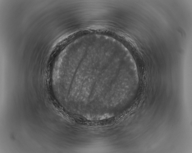 X0000111650920200908141248
