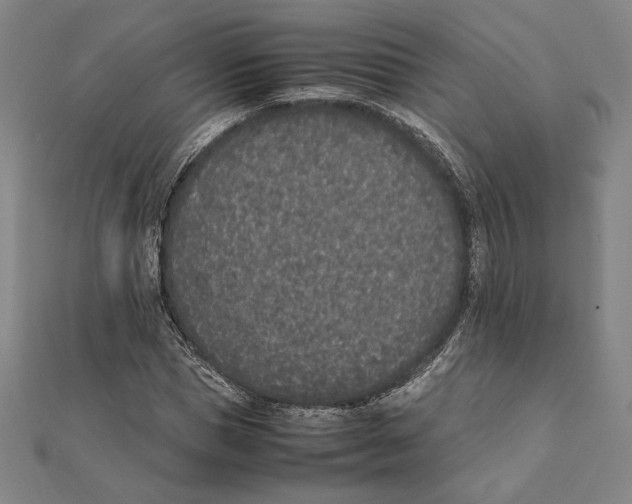 X0000111650921200908141248