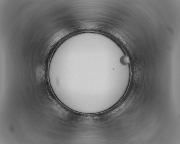 X0000111650922200908141248