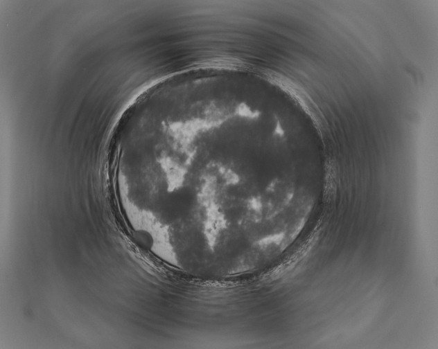 X0000111650923200908141248