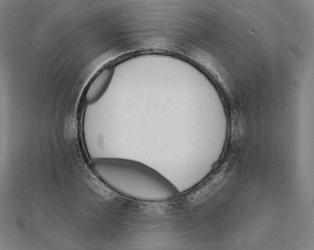X0000111650924200908141248
