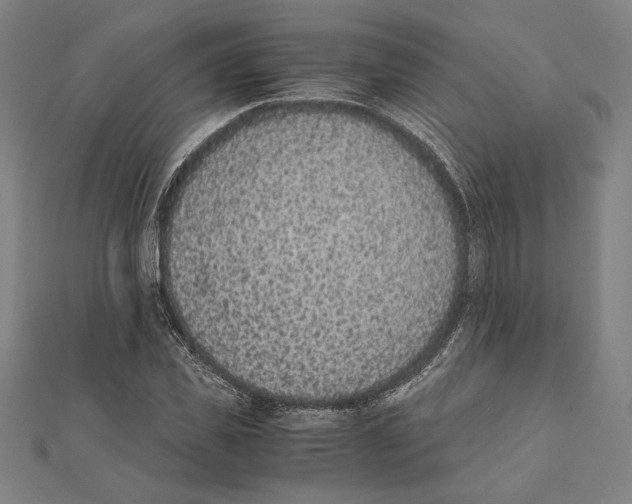 X0000111650925200908141248
