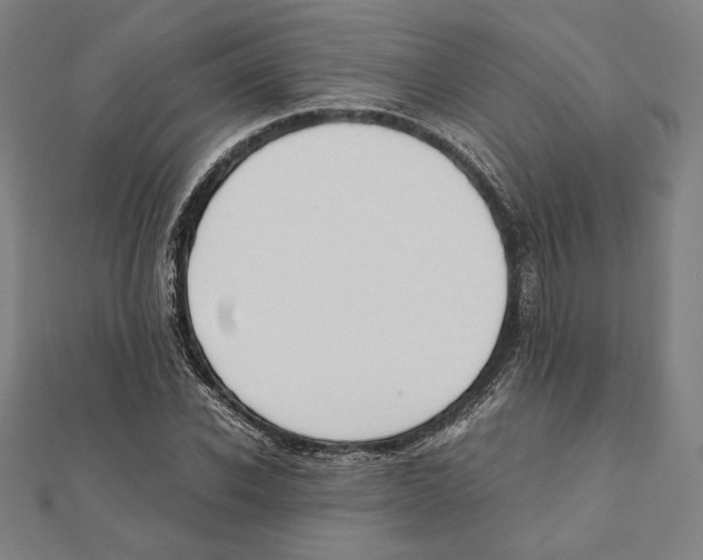 X0000111650926200908141248