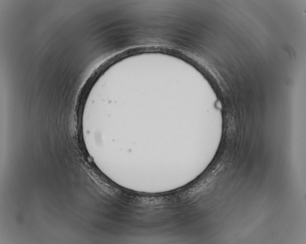 X0000111650927200908141248