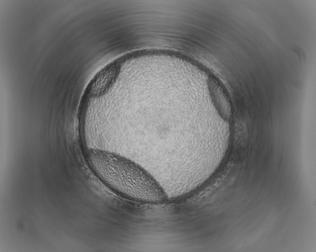 X0000111650928200908141248