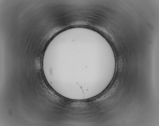 X0000111650929200908141248