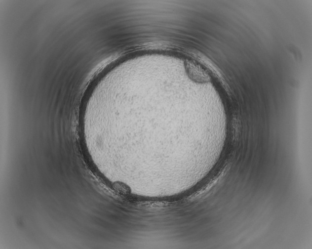 X0000111650930200908141248