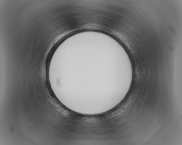 X0000111650931200908141248