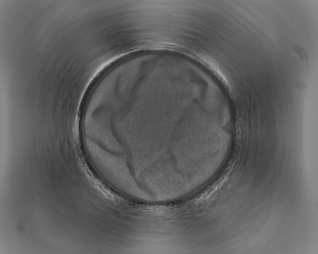 X0000111650932200908141248