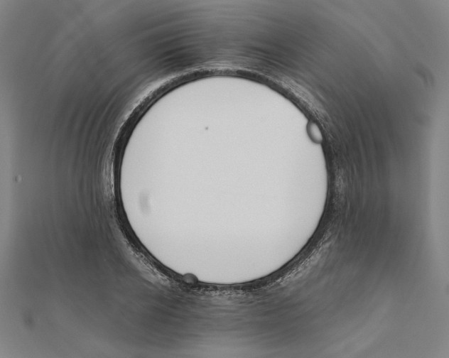 X0000111650934200908141248