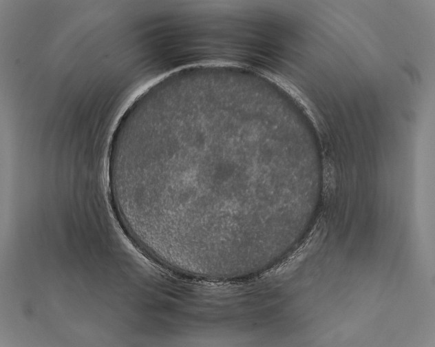 X0000111650935200908141248