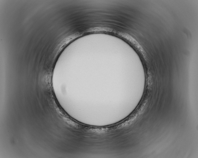 X0000111650937200908141248