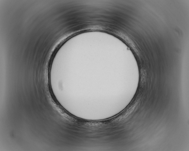 X0000111650939200908141248