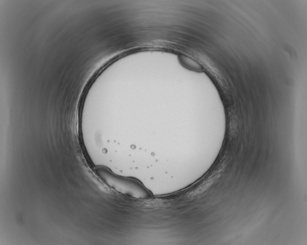 X0000111650940200908141248